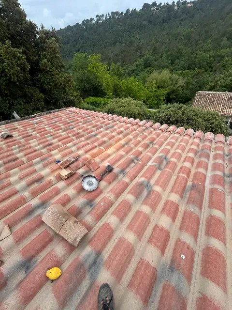 Remplacement de tuiles sur un pan de toiture