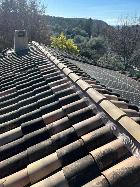 Toiture en tuiles anciennes